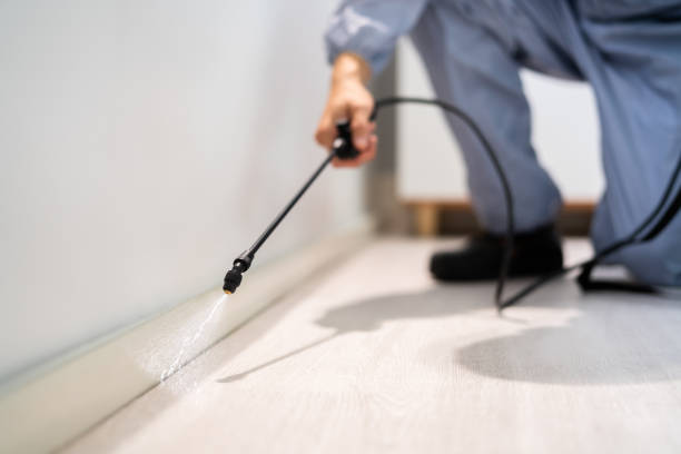 Licensed Pest Control service in San Antonio, FL - Show Me Pest Control